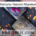 Капсулы Черного Муравья 38